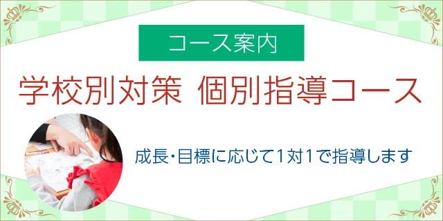 学校別対策個別指導コースのご案内