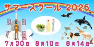 ノイ幼児教室 サマースクール2026